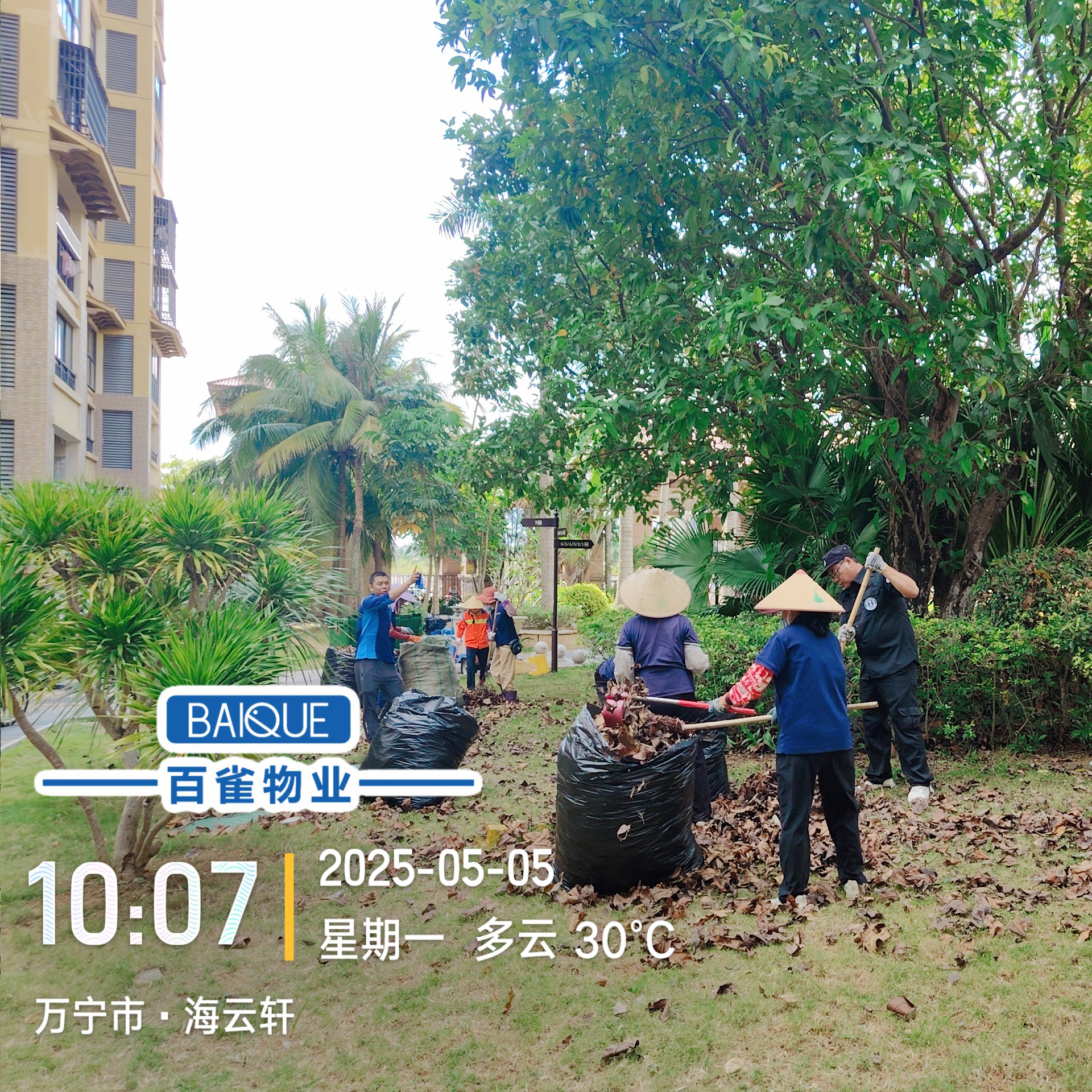 百雀物业 | 开展"洁净家园"公益行动